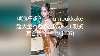 精海狂飙Premiumbukkake超大量吞精系列X265压制资源合集【111V】 (6)