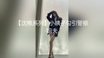 【沈樵系列】小姨子勾引警察姐夫