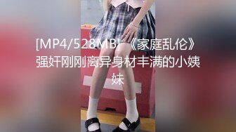 [MP4/528MB] 《家庭乱伦》强奸刚刚离异身材丰满的小姨妹