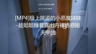 [MP4]极上挑逗的小恶魔妹妹-趁姐姐睡着露出内裤诱惑姐夫中出