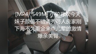 [MP4/ 549M] 小驴寻欢今天妹子颜值不错清秀可人良家刚下海不久重金来点儿荤的激情爆亲美臀