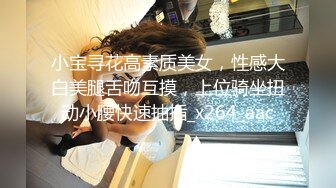 小宝寻花高素质美女，性感大白美腿舌吻互摸，上位骑坐扭动小腰快速抽插_x264_aac