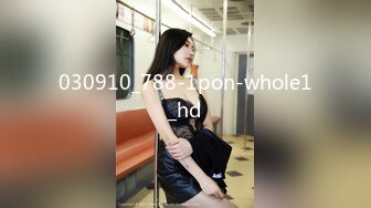 030910_788-1pon-whole1_hd