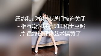 纽约和都柏林传送门被迫关闭～相互嘲讽展示911和土豆照片 最终被裸体艺术搞黄了