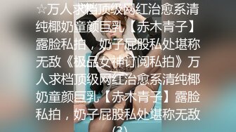 ★☆《极品女神订阅私拍》★☆万人求档顶级网红治愈系清纯椰奶童颜巨乳【赤木青子】露脸私拍，奶子屁股私处堪称无敌《极品女神订阅私拍》万人求档顶级网红治愈系清纯椰奶童颜巨乳【赤木青子】露脸私拍，奶子屁股私处堪称无敌 (3)