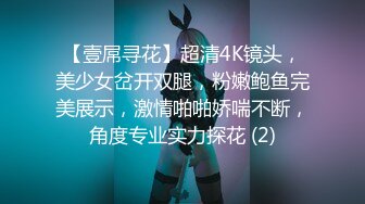 【壹屌寻花】超清4K镜头，美少女岔开双腿，粉嫩鲍鱼完美展示，激情啪啪娇喘不断，角度专业实力探花 (2)