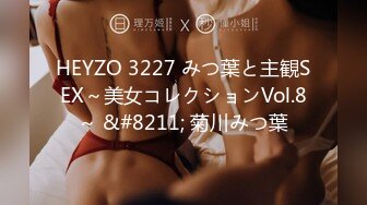 HEYZO 3227 みつ葉と主観SEX～美女コレクションVol.8～ &#8211; 菊川みつ葉