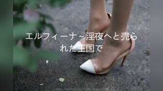 エルフィーナ～淫夜へと売られた王国で