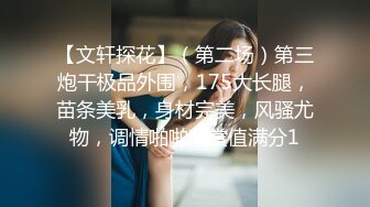 【文轩探花】（第二场）第三炮干极品外围，175大长腿，苗条美乳，身材完美，风骚尤物，调情啪啪观赏值满分1