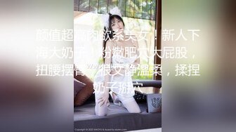 颜值超高肉欲系美女！新人下海大奶子！粉嫩肥穴大屁股，扭腰摆臀，很文静温柔，揉捏奶子掰穴