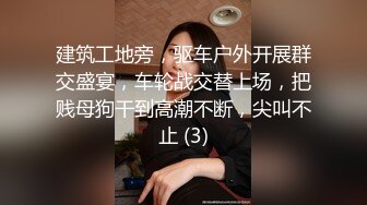 建筑工地旁，驱车户外开展群交盛宴，车轮战交替上场，把贱母狗干到高潮不断，尖叫不止 (3)