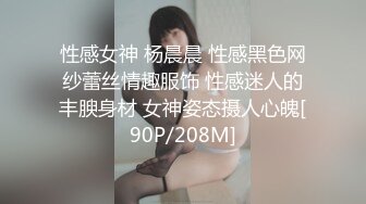 性感女神 杨晨晨 性感黑色网纱蕾丝情趣服饰 性感迷人的丰腴身材 女神姿态摄人心魄[90P/208M]