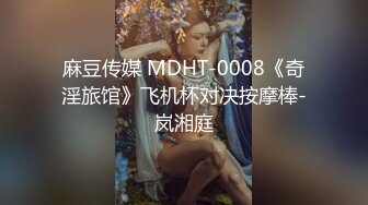 麻豆传媒 MDHT-0008《奇淫旅馆》飞机杯对决按摩棒-岚湘庭