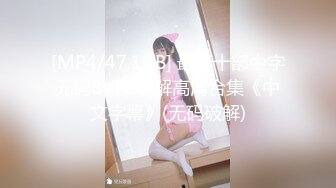 [MP4/47.1GB] 最新十部中字无码BVPP破解高清合集《中文字幕》(无码破解)