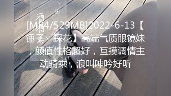 [MP4/529MB]2022-6-13【锤子丶探花】高端气质眼镜妹，颜值性格超好，互摸调情主动骑乘，浪叫呻吟好听